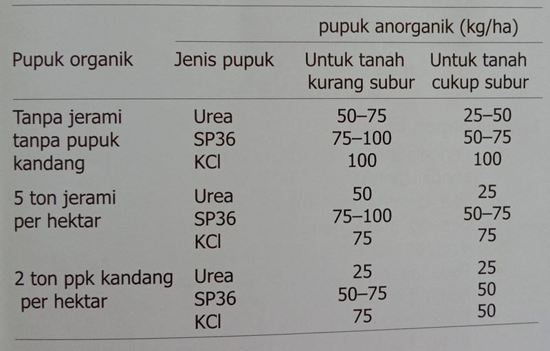 Takaran pupuk organik dan anorganik untuk lahan subur dan kurang subur